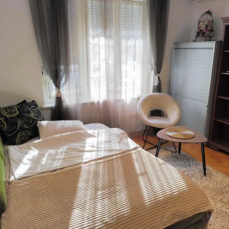 Center דירה פודגוריצה