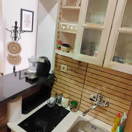 公寓 Center 波德戈里察